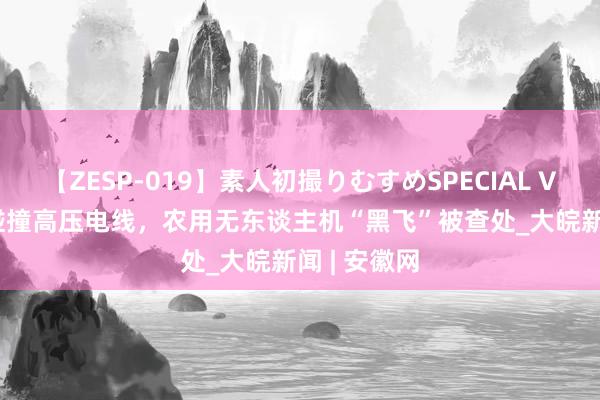 【ZESP-019】素人初撮りむすめSPECIAL Vol.3 失控碰撞高压电线，农用无东谈主机“黑飞”被查处_大皖新闻 | 安徽网