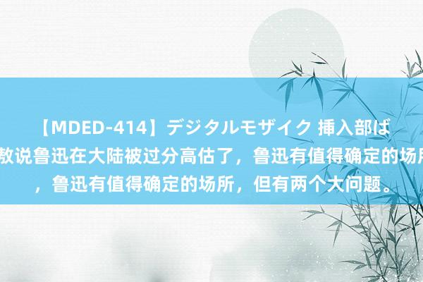 【MDED-414】デジタルモザイク 挿入部ばかり集めました2 李敖说鲁迅在大陆被过分高估了，鲁迅有值得确定的场所，但有两个大问题。