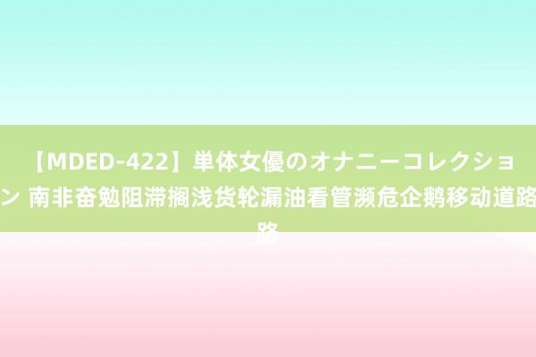 【MDED-422】単体女優のオナニーコレクション 南非奋勉阻滞搁浅货轮漏油　看管濒危企鹅移动道路