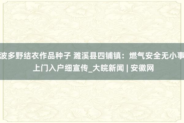 波多野结衣作品种子 濉溪县四铺镇：燃气安全无小事 上门入户细宣传_大皖新闻 | 安徽网