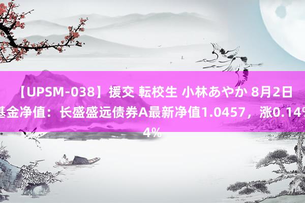 【UPSM-038】援交 転校生 小林あやか 8月2日基金净值：长盛盛远债券A最新净值1.0457，涨0.14%