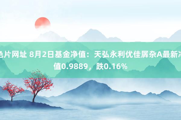 色片网址 8月2日基金净值：天弘永利优佳羼杂A最新净值0.9889，跌0.16%