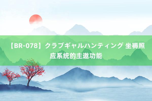 【BR-078】クラブギャルハンティング 坐褥照应系统的主邀功能