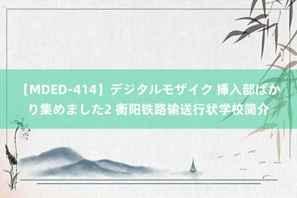 【MDED-414】デジタルモザイク 挿入部ばかり集めました2 衡阳铁路输送行状学校简介