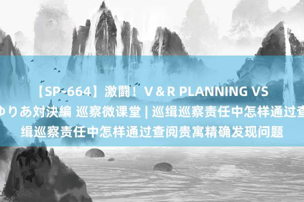 【SP-664】激闘！V＆R PLANNING VS MOODYZ 淫乱痴女ゆりあ対決編 巡察微课堂 | 巡缉巡察责任中怎样通过查阅贵寓精确发现问题