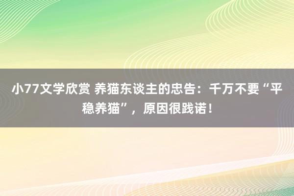 小77文学欣赏 养猫东谈主的忠告：千万不要“平稳养猫”，原因很践诺！