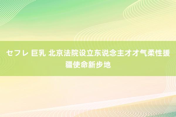 セフレ 巨乳 北京法院设立东说念主才才气柔性援疆使命新步地