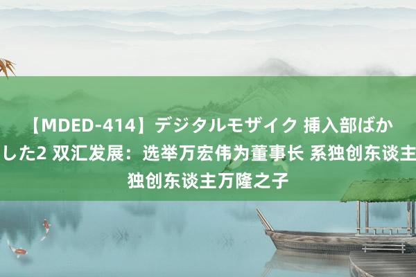 【MDED-414】デジタルモザイク 挿入部ばかり集めました2 双汇发展：选举万宏伟为董事长 系独创东谈主万隆之子