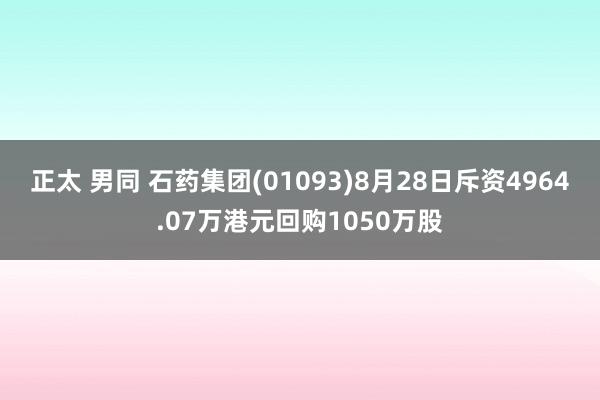 正太 男同 石药集团(01093)8月28日斥资4964.07万港元回购1050万股