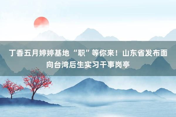 丁香五月婷婷基地 “职”等你来！山东省发布面向台湾后生实习干事岗亭