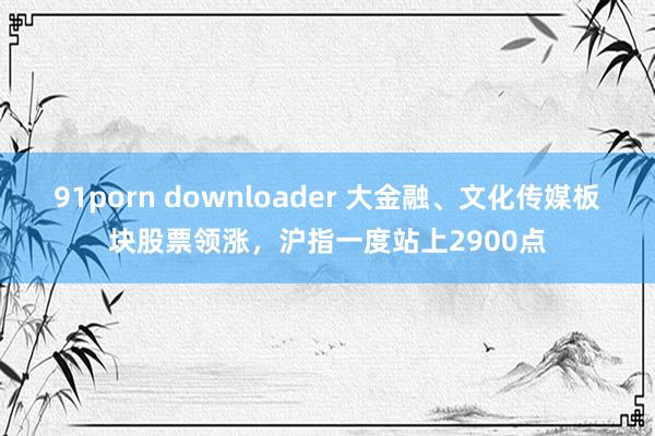 91porn downloader 大金融、文化传媒板块股票领涨，沪指一度站上2900点