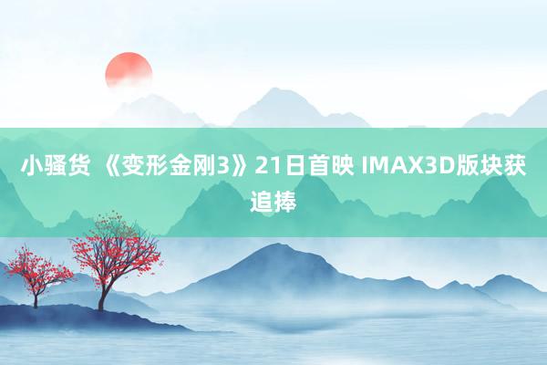 小骚货 《变形金刚3》21日首映 IMAX3D版块获追捧